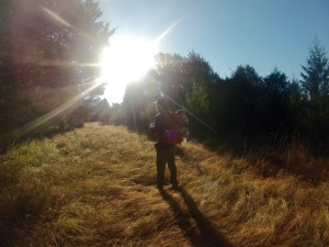 Beginning of the trail, about 100 yards off the road.